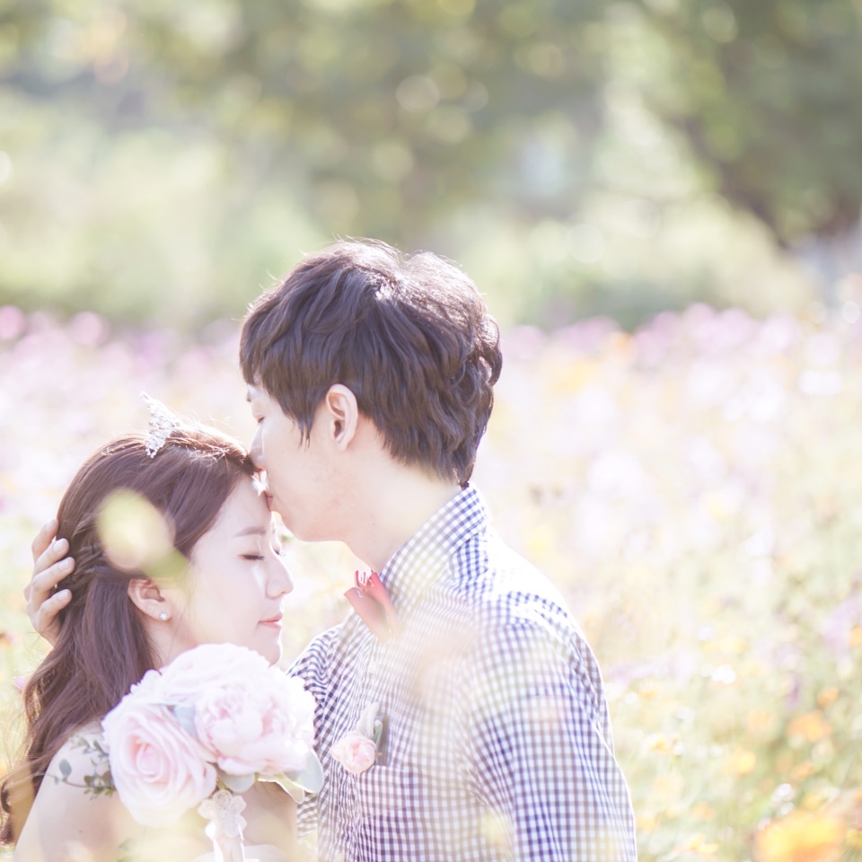 허니문 | 세상의 모든 여행, 위시빈