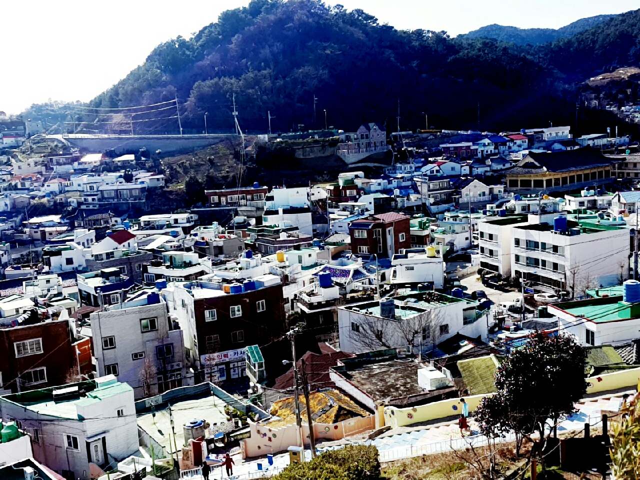 [서피랑] 동피랑이랑은 확실히 다른 느낌 | 세상의 모든 여행, 위시빈