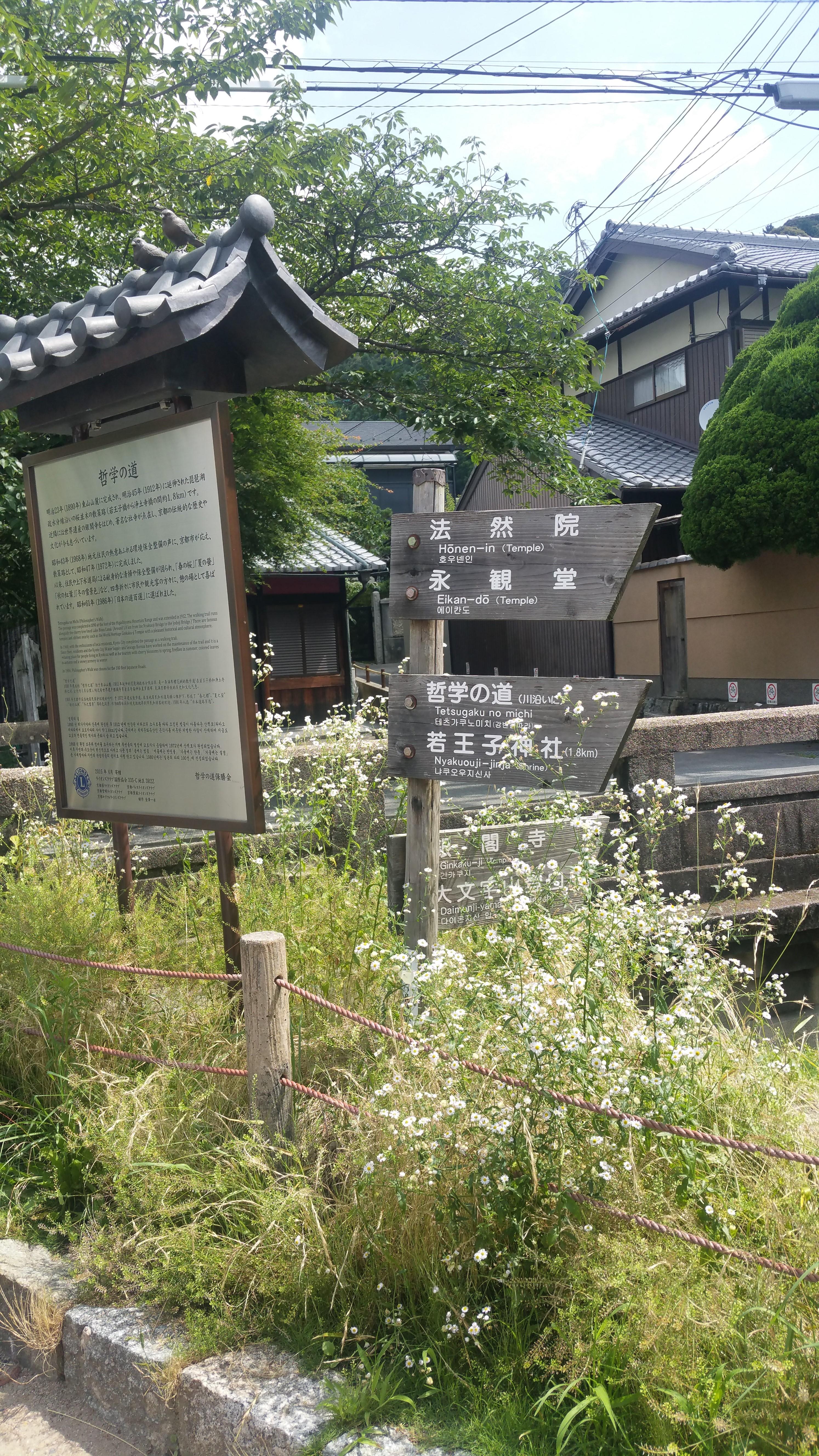 [요지야카페 은각사점] 철학의 길 따라 걷다 보면,,, | 세상의 모든 여행, 위시빈