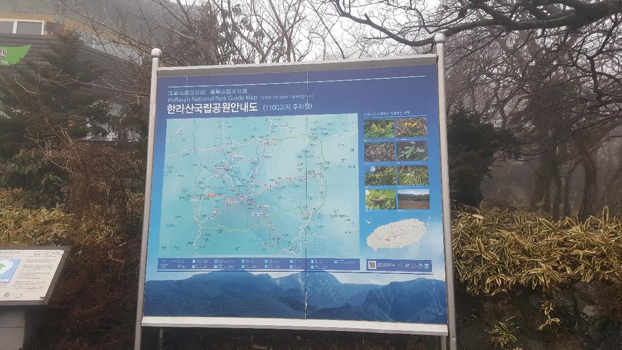 [1100고지휴게소] | 세상의 모든 여행, 위시빈 [1100고지휴게소]  | 세상의 모든 여행, 위시빈