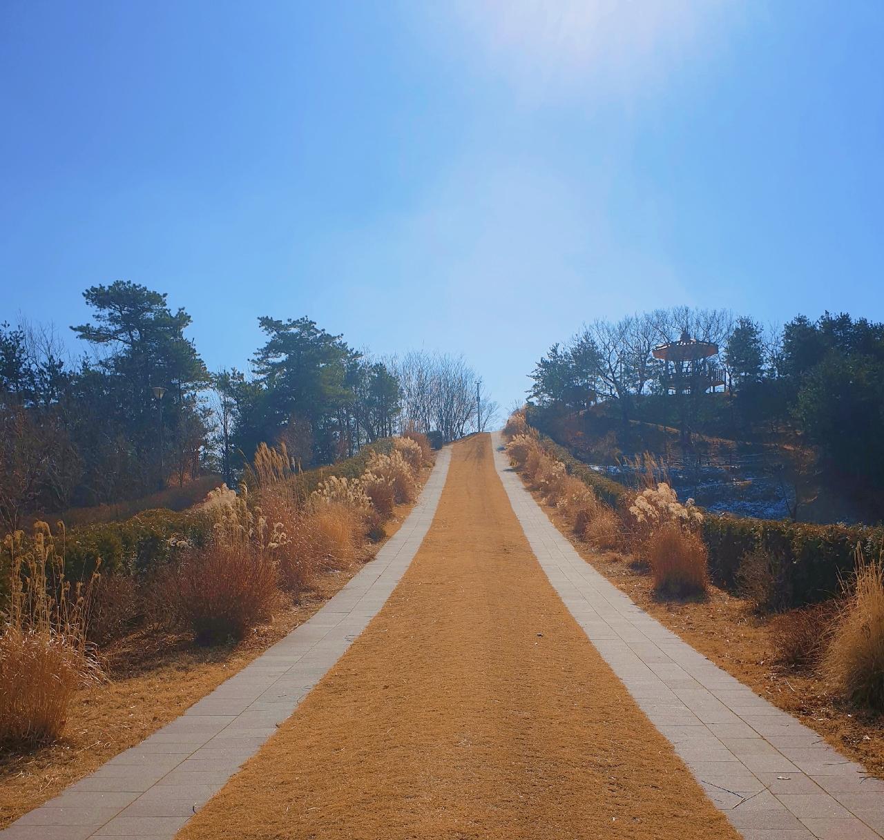 [영인산자연휴양림] 등산 | 세상의 모든 여행, 위시빈