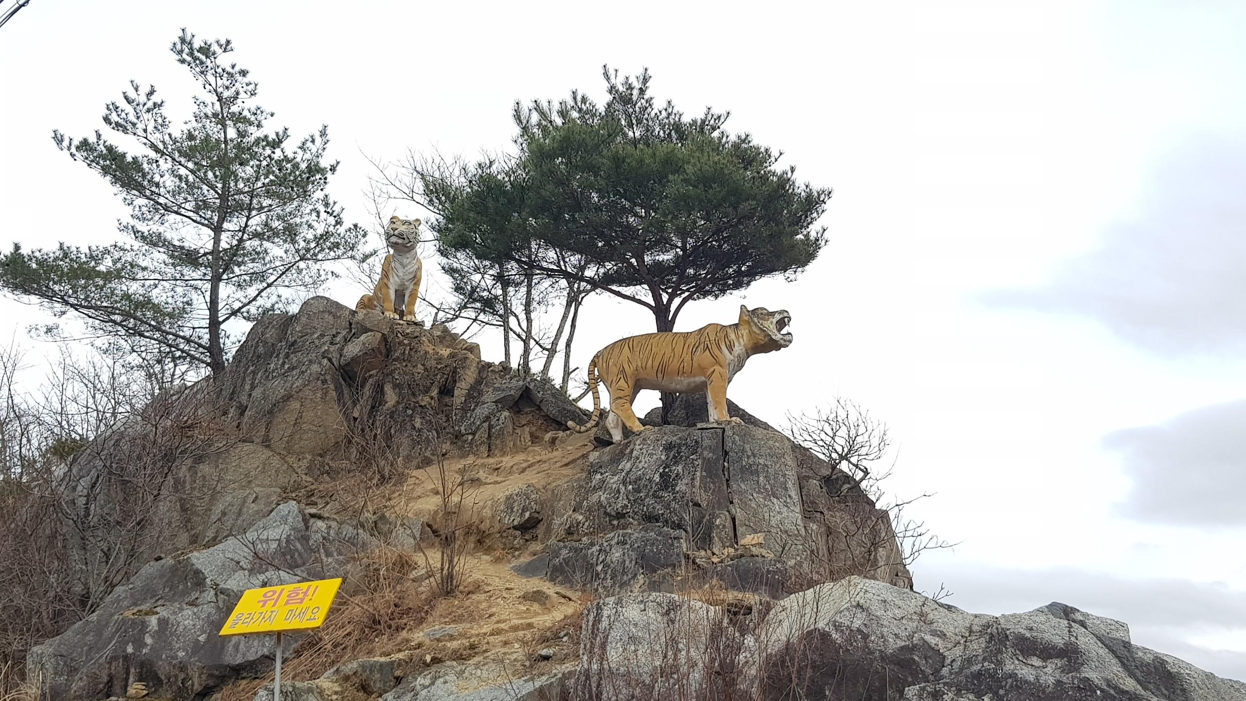 범바위전망대 - 단양 가볼만한 곳 > 관광지 | 세상의 모든 여행, 위시빈