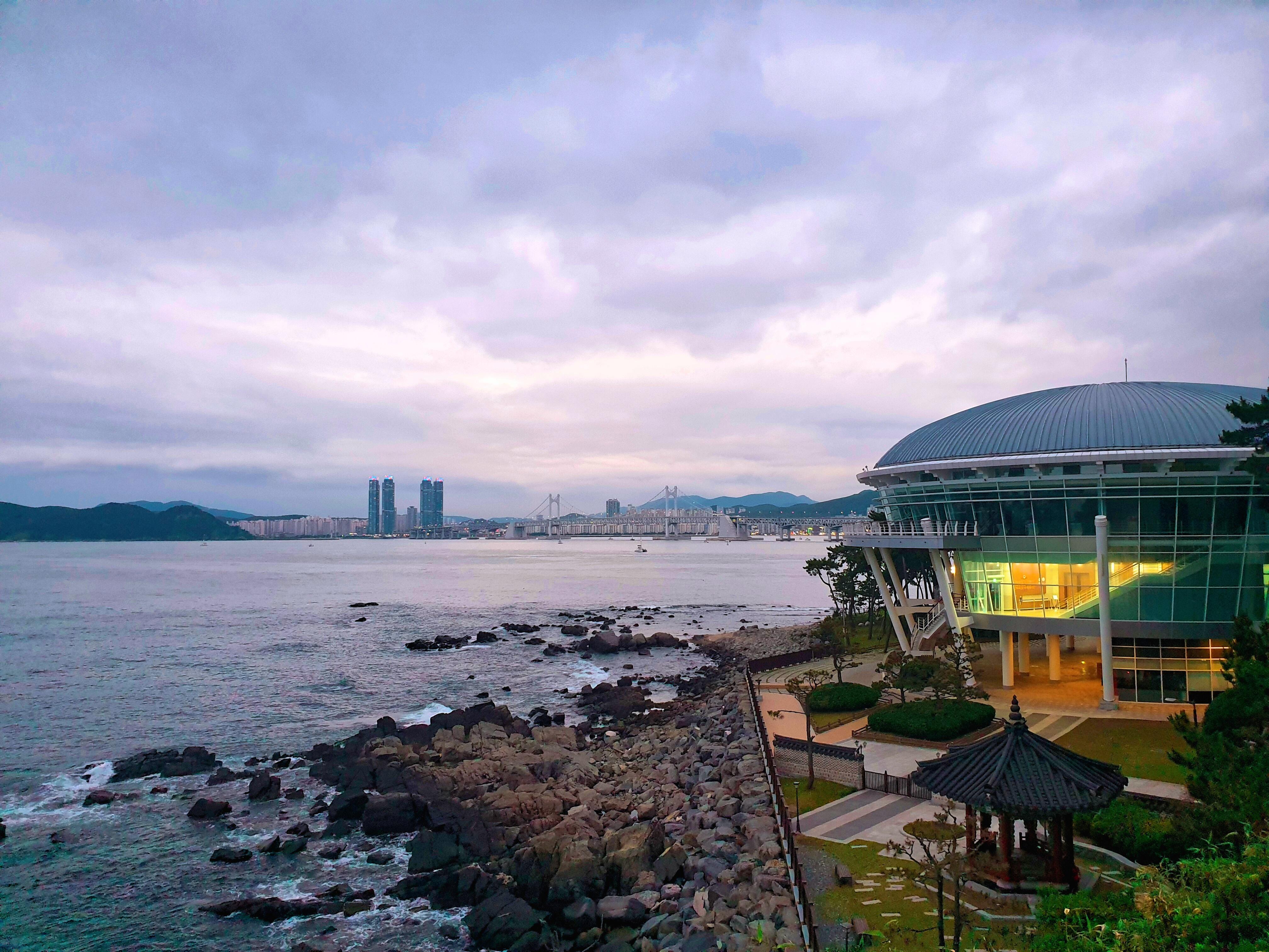 [동백섬] 산책 | 세상의 모든 여행, 위시빈