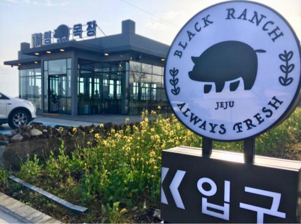 한겨울 제주도 | 세상의 모든 여행, 위시빈