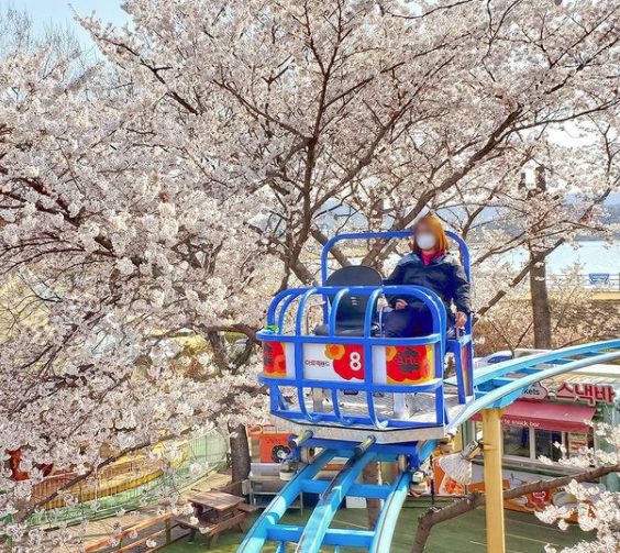 아르떼수성랜드 - 대구 가볼만한 곳 > 테마파크 | 세상의 모든 여행, 위시빈
